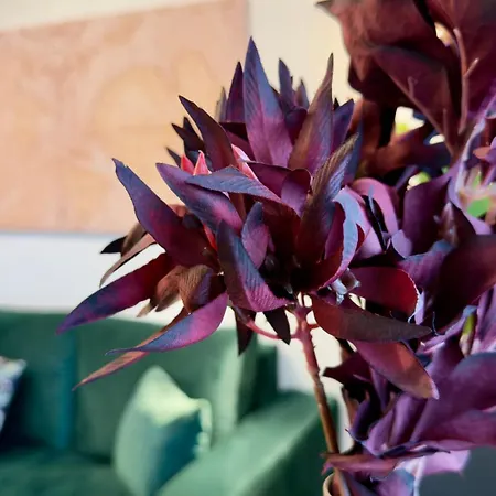 Aviatiei Park Haven - Stylish 1br With Balcony דירה